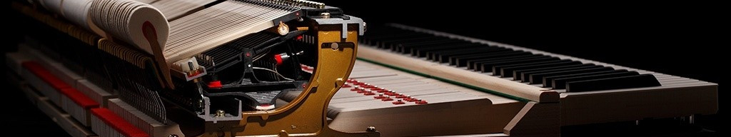 Standard Piano Sales and Service banner. Kawai Grand Piano